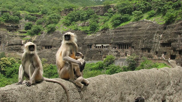 Ajantacaves2 1 - Living Rock – Massive Monuments Carved In Situ.