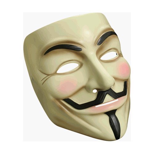 V for Vendetta mask 1 - Business man pays off niqab fines