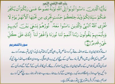 dailyquran 1 - گلدستہ  انتخاب  اقبال  کویت Iqbalkuwait's corner