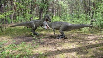 dinosaurpark11 1 - Dinosaur Park in Poland.