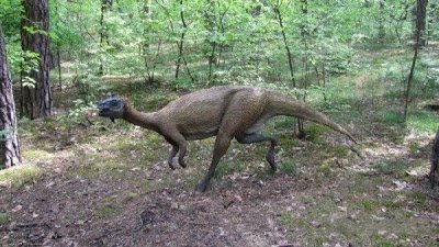 dinosaurpark12 1 - Dinosaur Park in Poland.