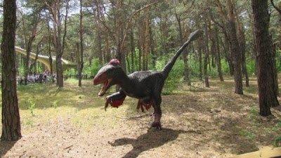 dinosaurpark20 1 - Dinosaur Park in Poland.