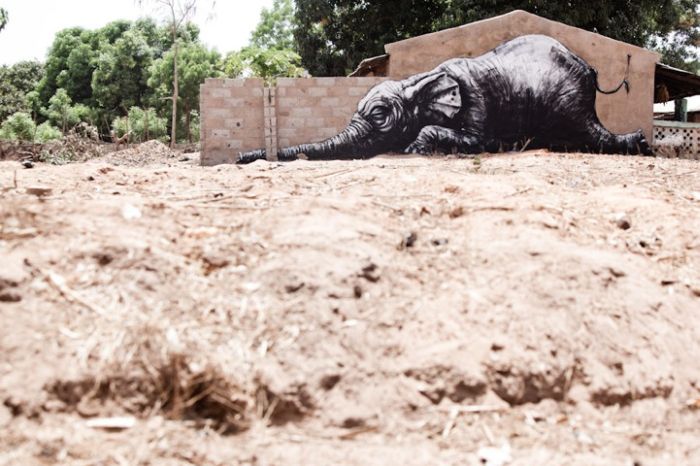 street art africain 01 1 - Street Art in Africa.