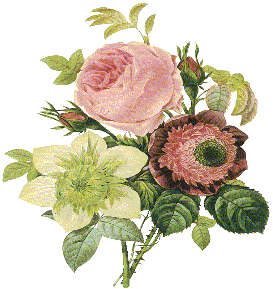 vq4qyv-1.jpg