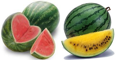watermelons-1.jpg