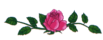 11910289890645-1.gif