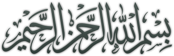 13118818311-1.png