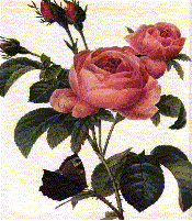 29lmwbt-1.jpg
