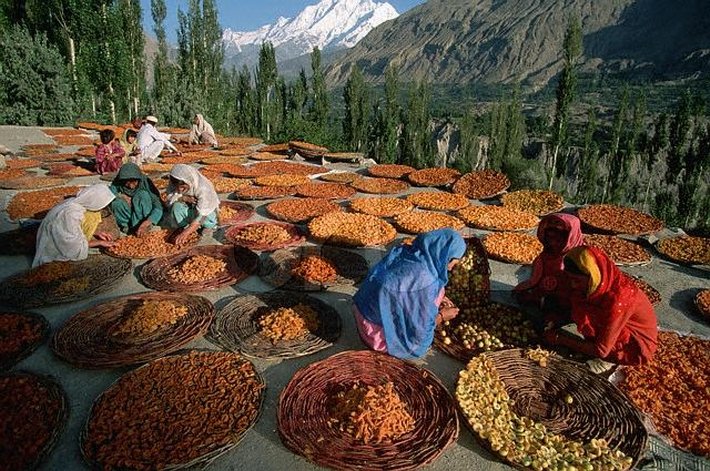 Hunzaapricots 1 - Death Rides a Slow Bus in Hunza