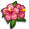 Pink_Hibiscusicon-1.png