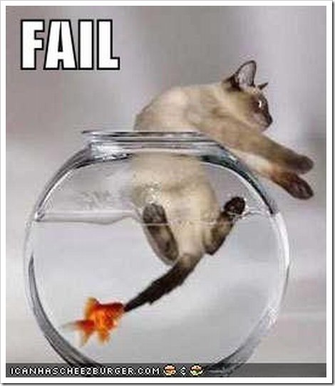 funny cat fail22 Fails and lolzs470x5422 1 - Foto jokes