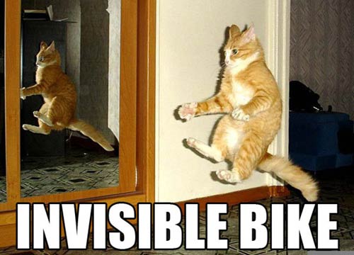 funnycatpicture04 1 - Foto jokes