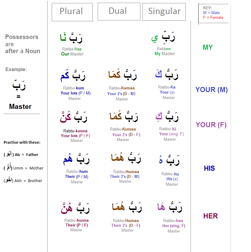possession 1 - Simple Arabic Lessons - through learning 'Tables'!