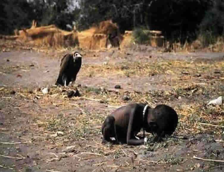 wanting_a_meal-1.jpg
