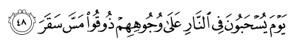 54_48-1.png