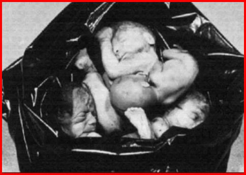 abortion-1.jpg