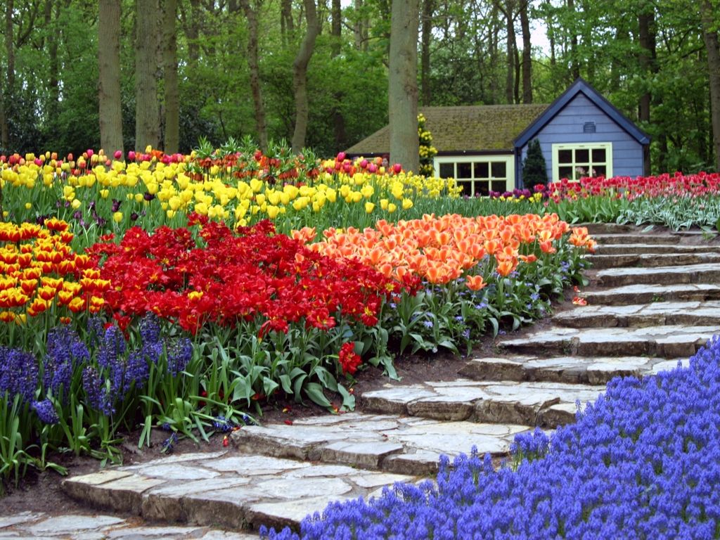 flowerswallpaper-1.jpg