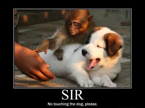 funnyhilariouspics22e1285948624927-1.jpg