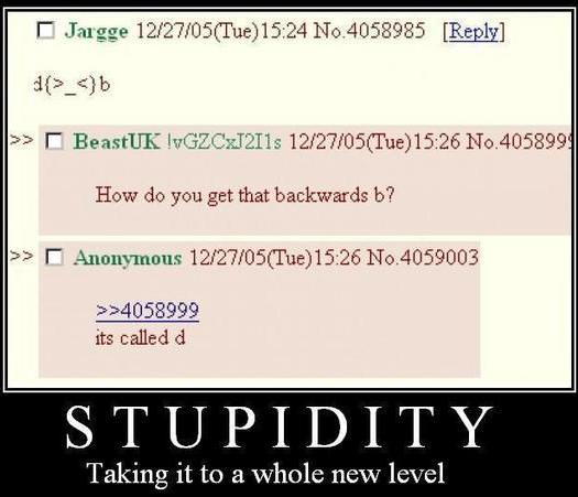 stupidity 1 - Foto jokes