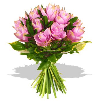 1539curcuma_bouquet-1.jpg