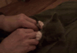 1zy7r5g_th-1.gif