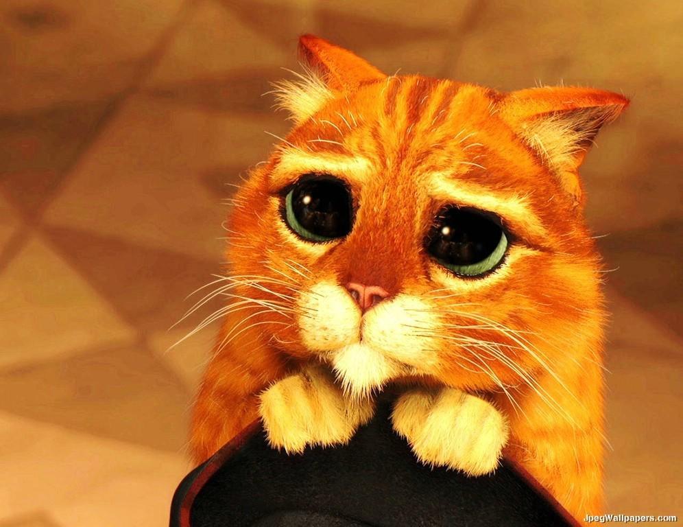 PussInBootsShrek497126-1.jpeg