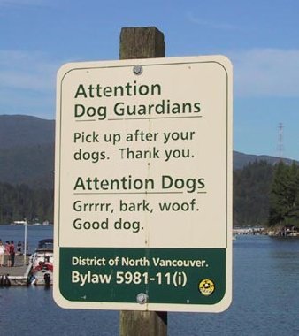 attention_dogs-1.jpg