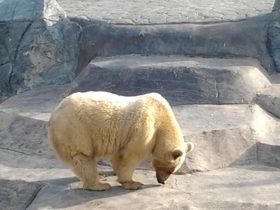 20120128153610-1.jpg