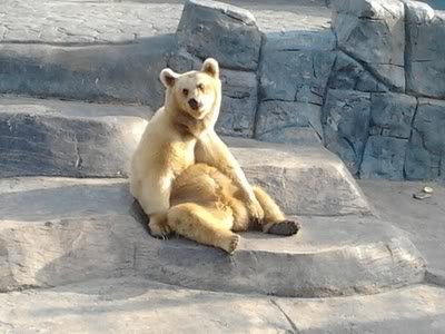 20120128153655-1.jpg