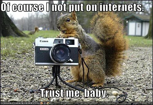 funnypicturescreepysquirrelcamerapark-1.jpg