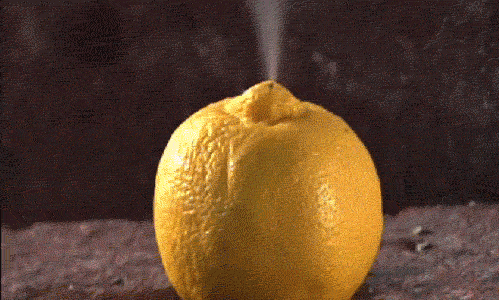 tumblr_lpoplxPXkV1qg39ewo1_500-1.gif