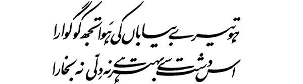 1GIF 1 - Allama iqbal