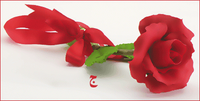 2571083av8wp2w2kz-1.gif