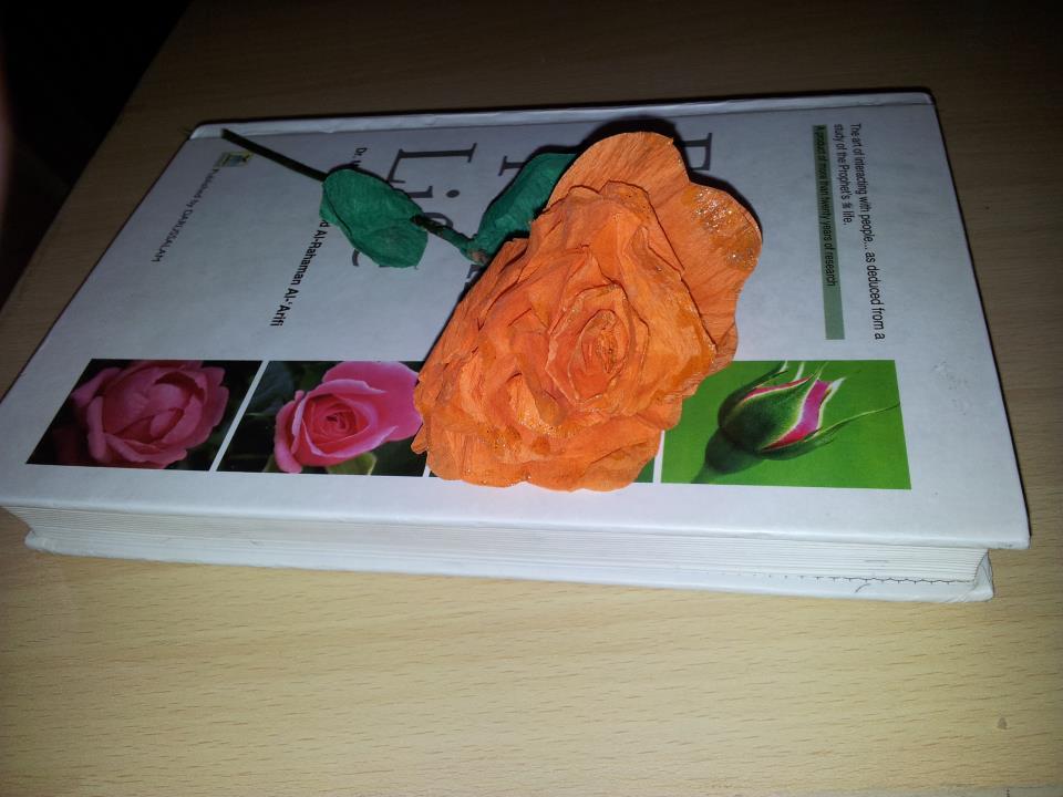rose1-1.jpg