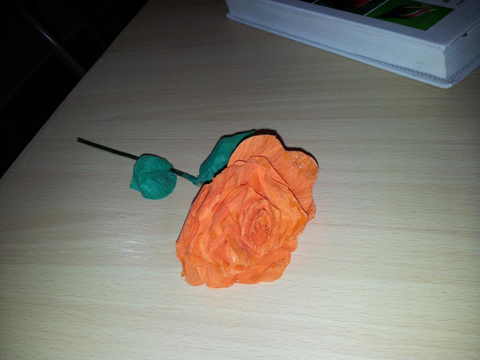 rose2-1.jpg