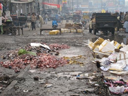 2006_12_31_lahore_rubbish_pollution_520x-1.jpg