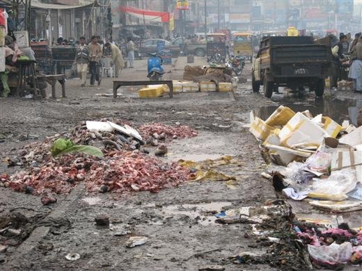 2006 12 31 lahore rubbish pollution 520x 1 - your homeland pics