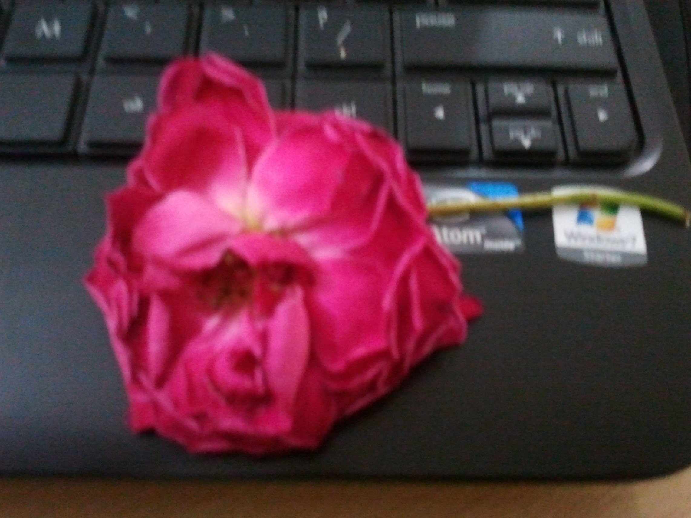 20120406103111-1.jpg