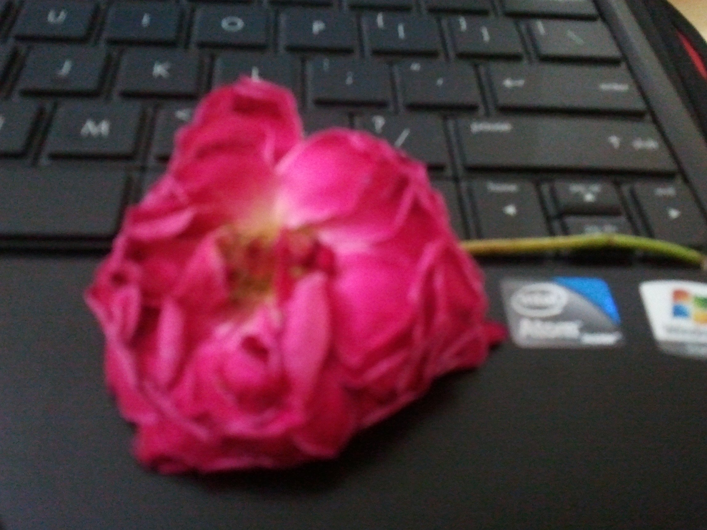 20120406103201-1.jpg