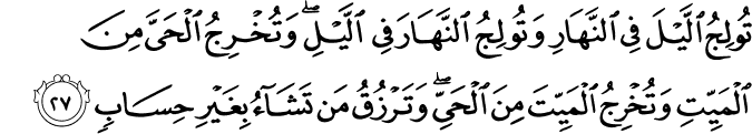 3 27 1 - Ayat of the Day
