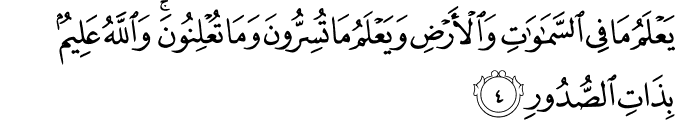 64 4 1 - Ayat of the Day