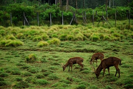 detik_DSC_7389JPG-1.jpg