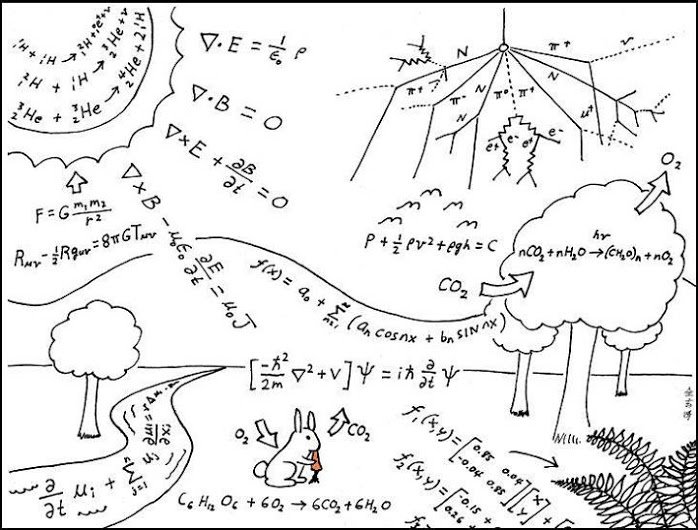 everydayphysics-1.jpg