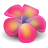flower-1.png