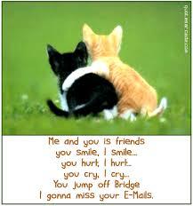 imagesqtbnANd9GcSIEPWv7benGK30AM9hgxuiG8-1.jpg