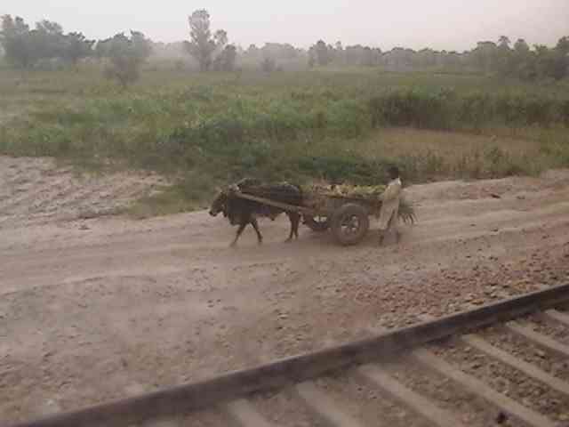pic_ruralvillage011-1.jpg