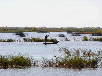 s_basra_marshes_iraq2jpg-1.jpg