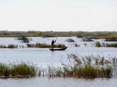 s basra marshes iraq2jpg 1 - your homeland pics