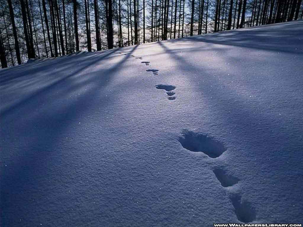 snowonHillsHDwallpaper5-1.jpg