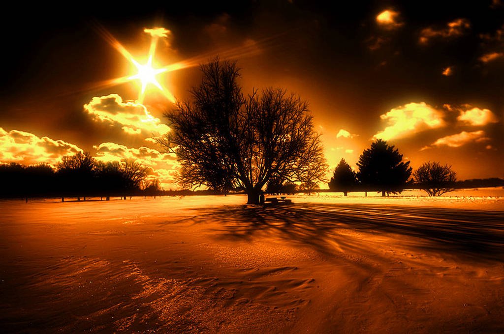 143822xcitefunnaturepicture23-1.jpg